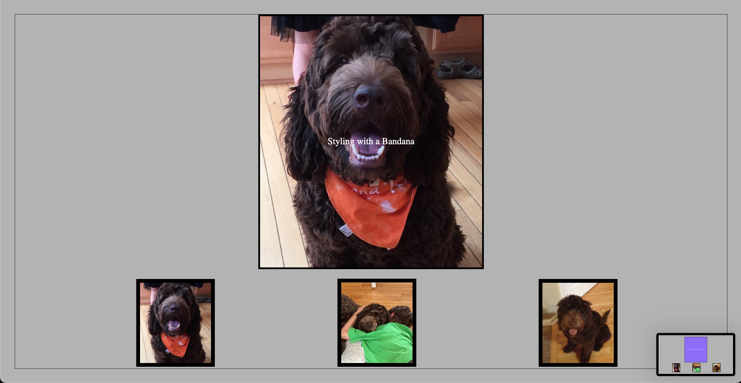 USA teams page of JS web design project