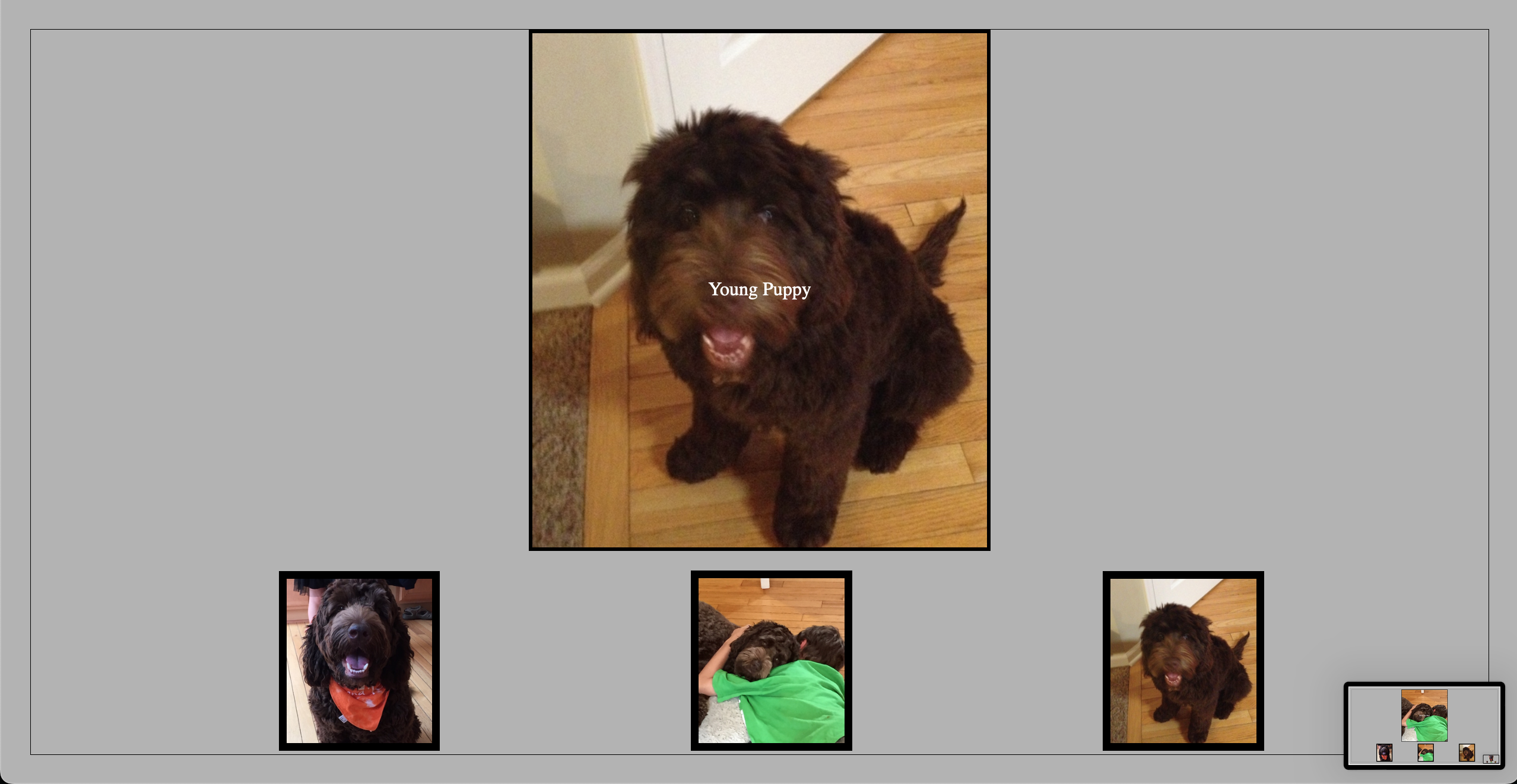 USA teams page of JS web design project